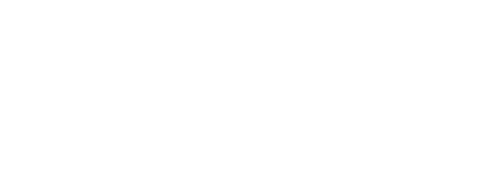 Vivid IV Health